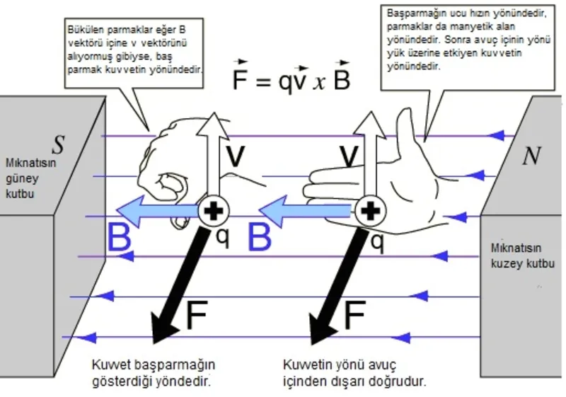 manyetik kuvvet nedir egitim haberleri