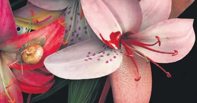 Uzak diyarlarda açan bir çiçek Kore edebiyatı