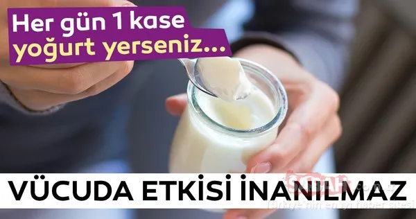 Her gün bir kase yoğurt yerseniz vücuda etkisi inanılmaz