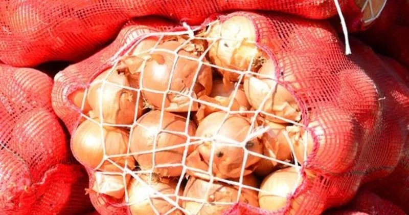 sogan fiyatlari ucuzladi son dakika haberler