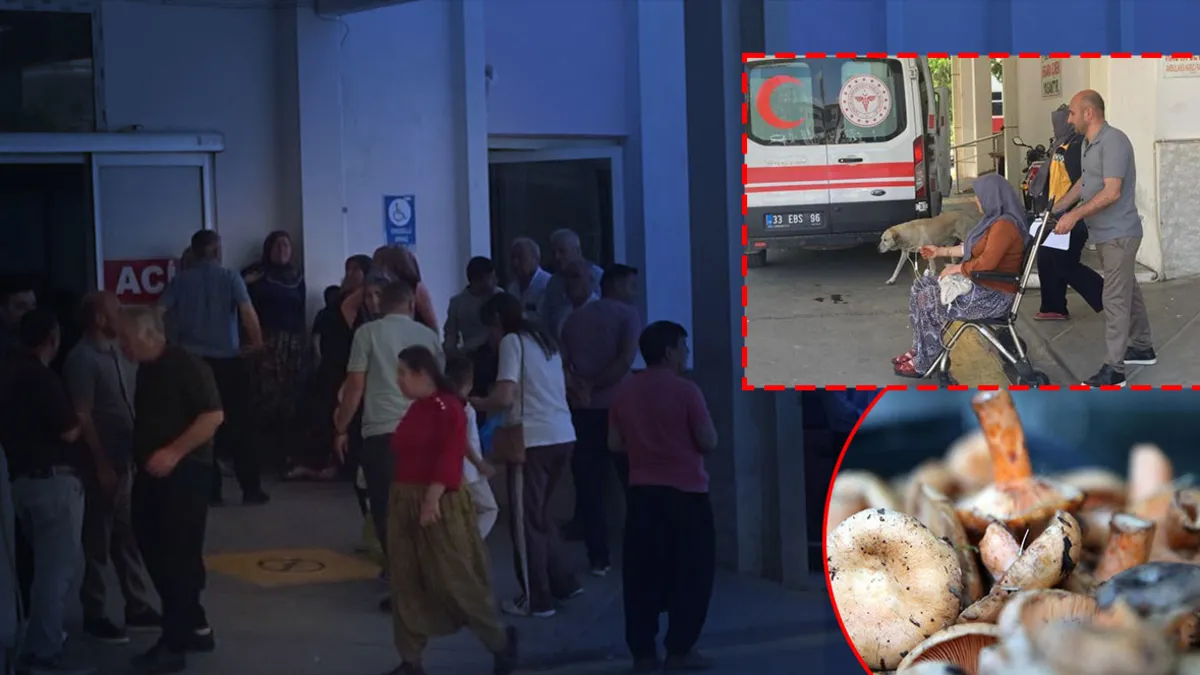 Mersin'de mantar dehşeti: 7 kişi zehirlenme şüphesiyle hastaneye kaldırıldı! Mersin'de mantar dehşeti: 7 kişi zehirlenme şüphesiyle hastaneye kaldırıldı!