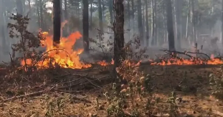 Kütahya-Balıkesir sınırında orman yangını çıktı
