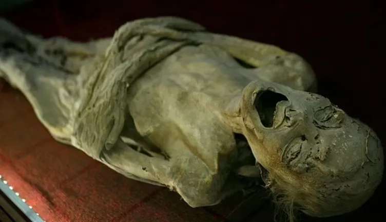 İstenmeyen mumya! Hareket eden cesedi gören yetkililer apar topar telefona sarıldı