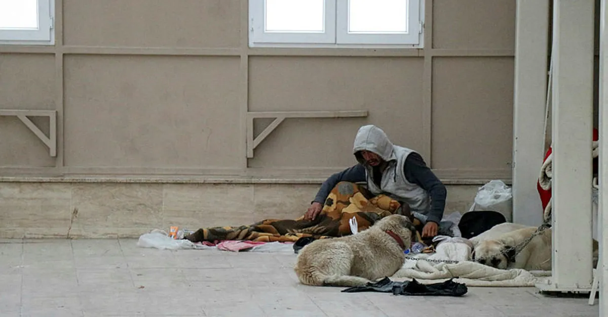 Alamaz Köpekleriyle şadırvanı mesken tuttu, cami cemaati abdest alamaz oldu ...