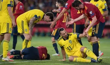 Zlatan Ibrahimovic’ten tepki çeken hareket! İspanya-İsveç maçında...