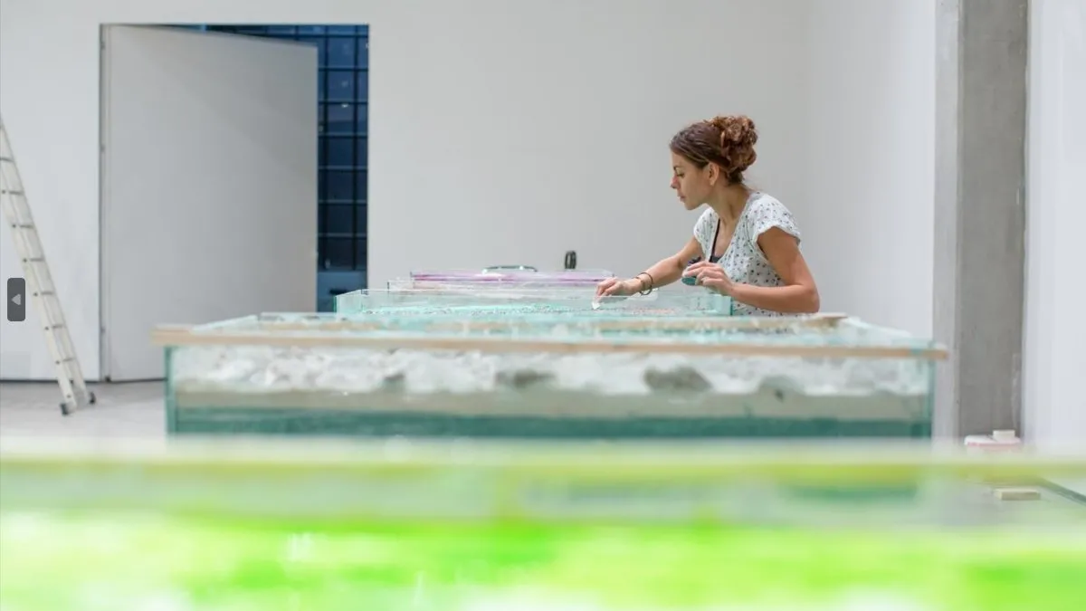 Aida Mahmudova’nın Bir Rüya Açılır sergisi sanatseverlerle buluşacak