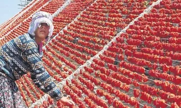 Oğuzeli ‘kurutmalıkları’ markalaşacak