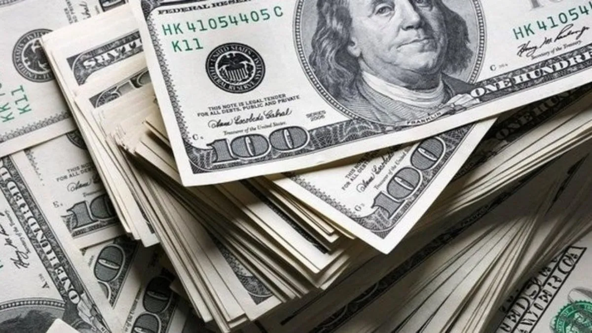 60 yaş üstü mağdurlar 5 milyar dolar kaptırdı 60 yaş üstü mağdurlar 5 milyar dolar kaptırdı