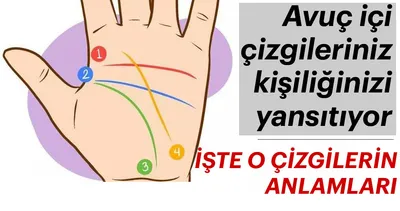 Avuç içinizdeki çizgilerin kişiliğinizi yansıttığını biliyor muydunuz?