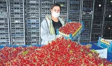 Meyveler salgında halkın ilacı oldu