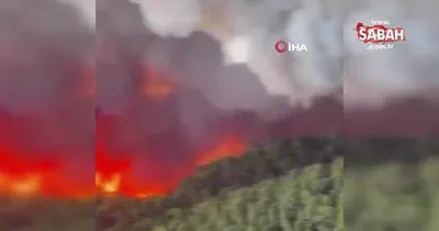 İspanya’nın Tenerife Adası’ndaki yangın büyüyor | Video