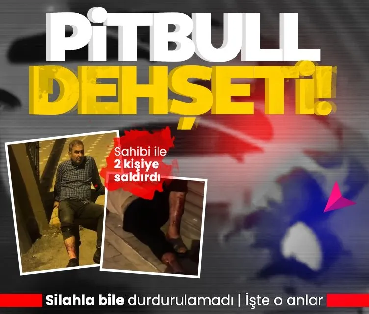 Görüntü Türkiye’den: Pitbull sahibi ile 2 kişiyi parçaladı!