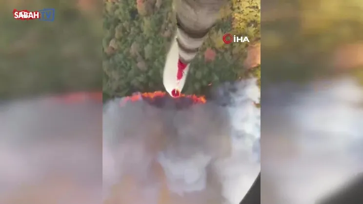 Kepsut'ta orman yangını başladı | Video