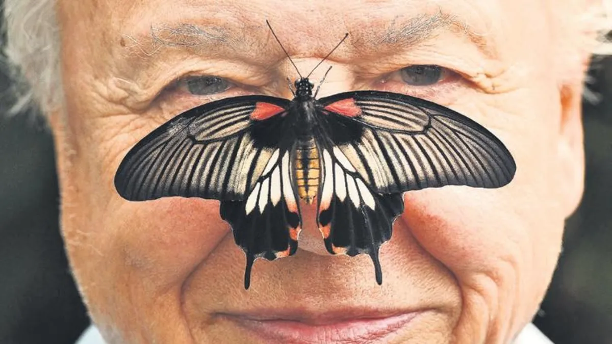Ünlü doğa belgeselcisi Attenborough 100 yaşında Ünlü doğa belgeselcisi Attenborough 100 yaşında