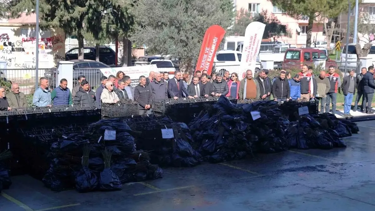 Muğla’da tarıma 2,8 milyon TL’lik hamle! 8 ilçede 50 bin fidan toprakla buluştu Muğla’da tarıma 2,8 milyon TL’lik hamle! 8 ilçede 50 bin fidan toprakla buluştu