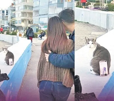 Medya da kapısının önünü süpürsün Medya da kapısının önünü süpürsün