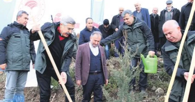 Amanos Dağları’na 6 milyon fidan