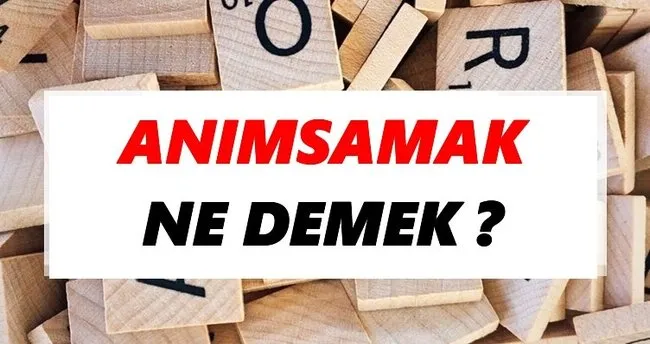 Anımsamak Ne Demek? TDK’ya Göre Anımsamak Sözlük Anlamı Nedir?