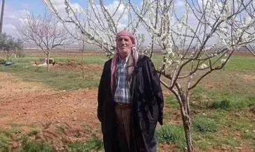Şanlıurfa’da tarla sürerken traktörün altında kalan kişi hayatını kaybetti #sanliurfa