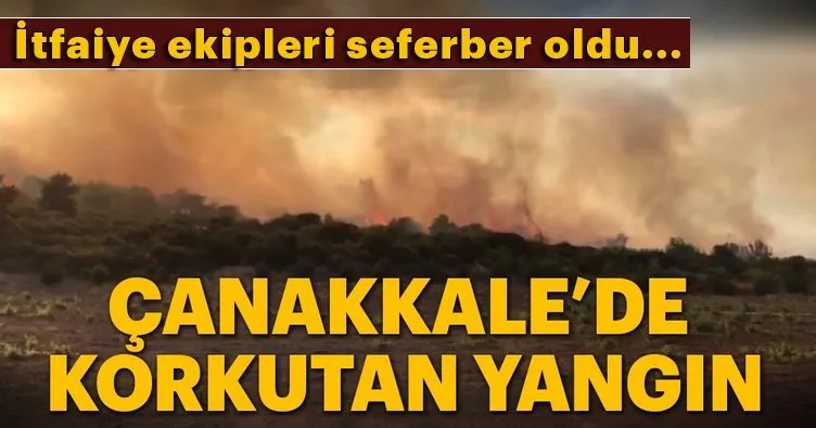 Son Dakika: Çanakkale’de korkutan orman yangını!