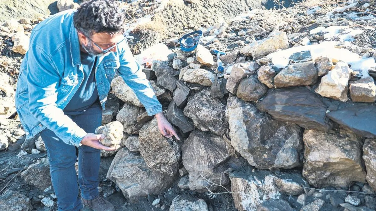 ‘Bingöl’de deniz mi vardı?’ dedirten bulgu