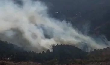 Son dakika: İzmir’de orman yangını #izmir