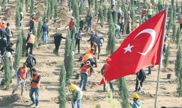 Hastaya kan ormana can