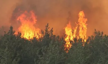 Gelibolu’da çıkan orman yangınında bir köy boşaltıldı