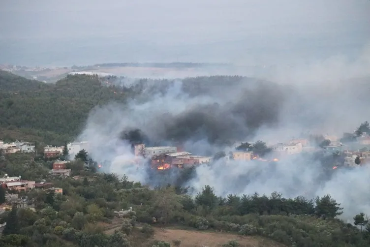 Son dakika! Hatay'daki yangında son durum! Bakan Pakdemirli'den yangında sabotaj iddialarına açıklama