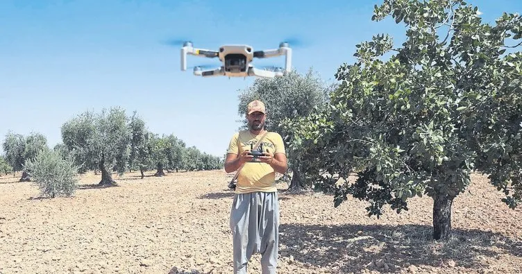 Drone’lu fıstık nöbeti