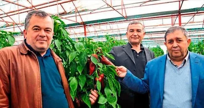 Sis kader değiştirdi