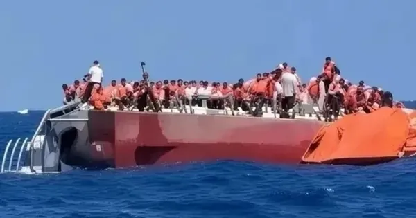 1791442010840.jpeg
