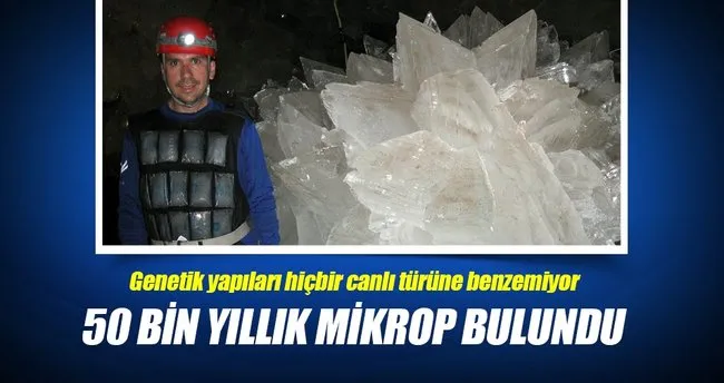 50 bin yıllık mikrop bulundu