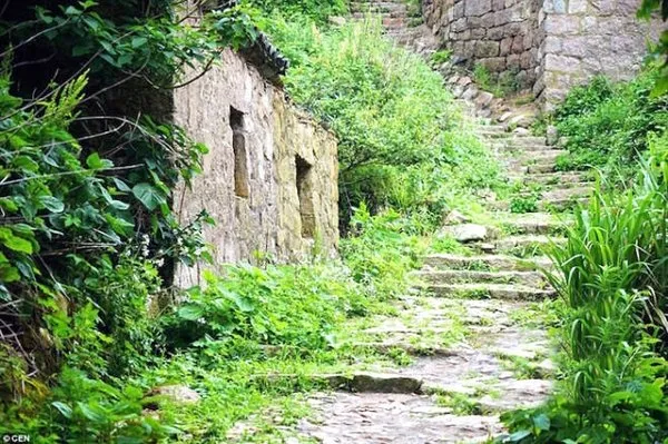 Terk edilmiş balıkçı köyünü tabiat ana ele geçirdi