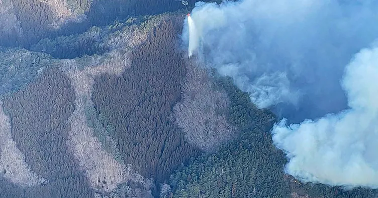 Japonya’da alevler söndürülemiyor: 2100 hektarlık alan yandı