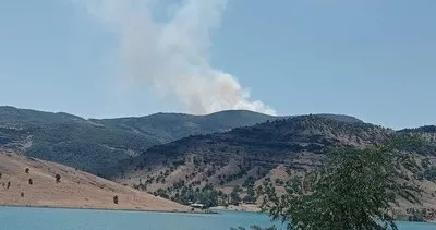 Tunceli’de orman yangını #tunceli