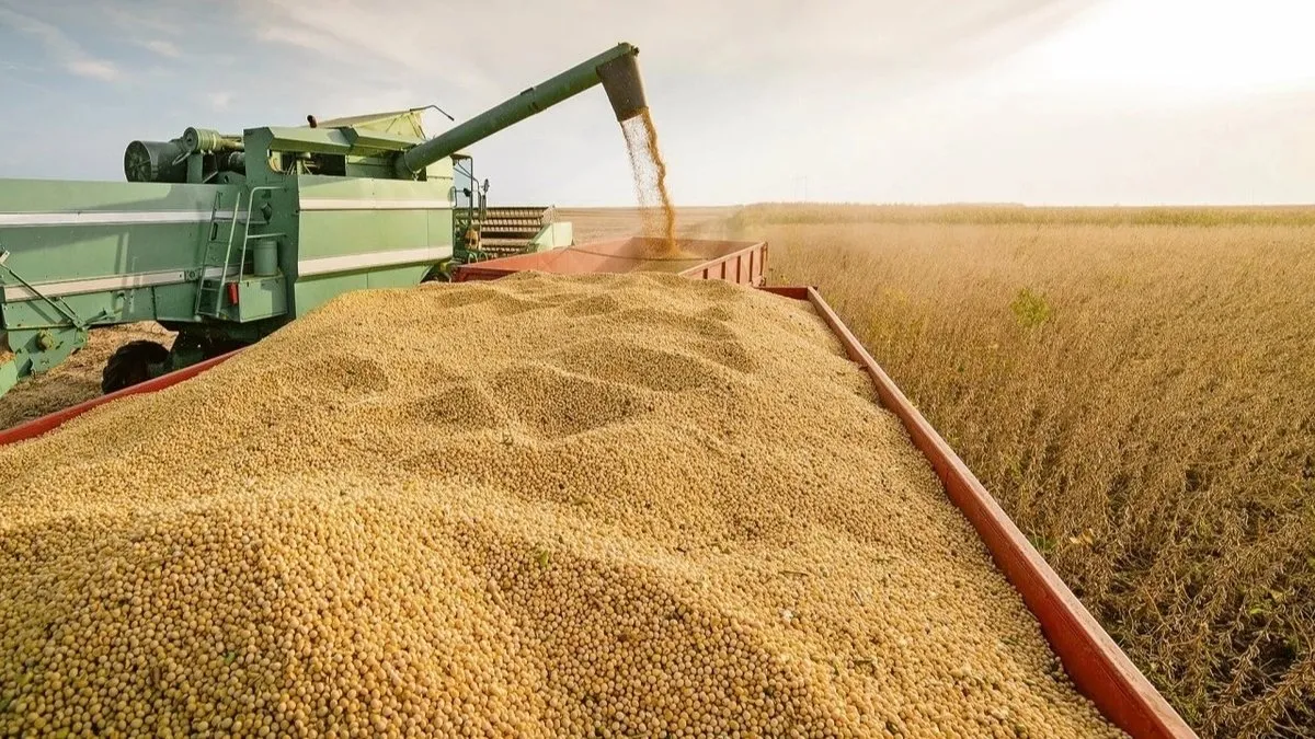 IFAD Başkanı Lario: Kırsal tarıma ekstra çaba şart