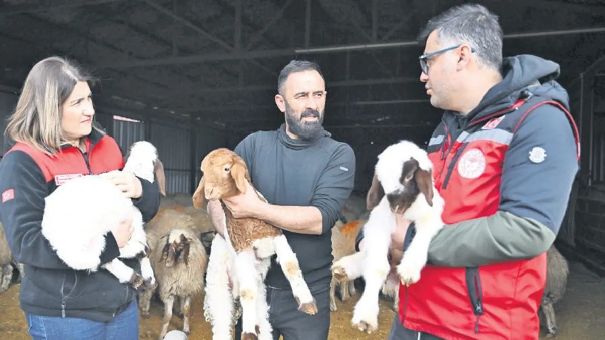 Freeders lachten mit tierischer Unterstützung