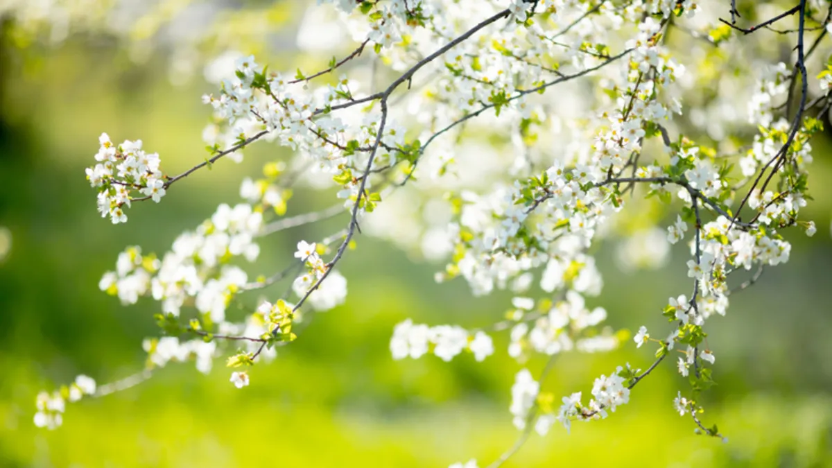 İlk cemre ne zaman ve nereye düşecek? Havaya, suya ve toprağa cemre düşme tarihleri
