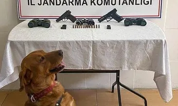 Siirt’te bomba arama köpeği Puma sayesinde silah ve mühimmat ele geçirildi