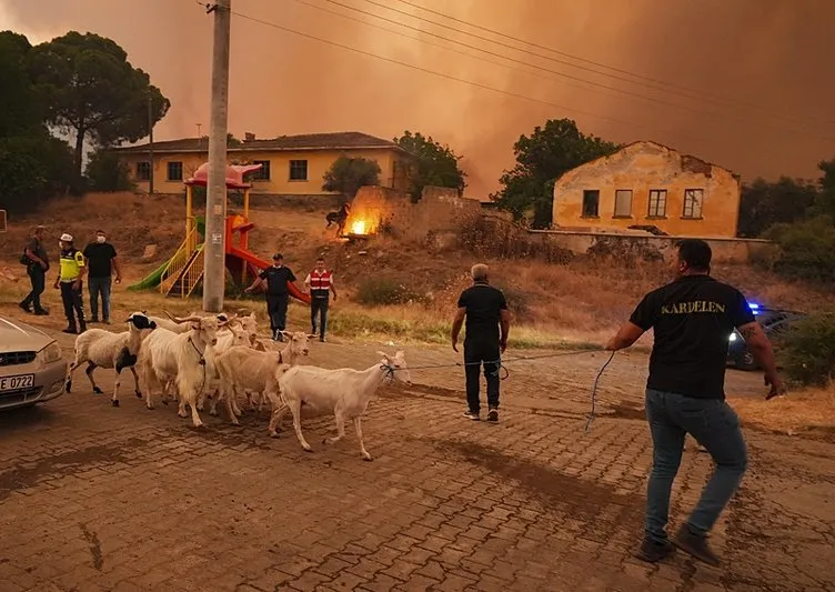 SON DAKİKA… İzmir’deki orman yangınında 3. gün! Ekiplerin cansiperane mücadelesi sürüyor: Kahreden görüntüler...
