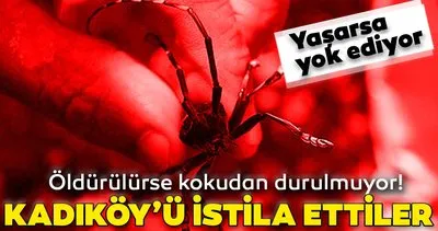 Son Dakika Haberi Kadikoy U Istila Etmislerdi Eger Oldurulurse Kotu Koku Saciyor Hayatta Kalirsa Yok Ediyor Son Dakika Haberler