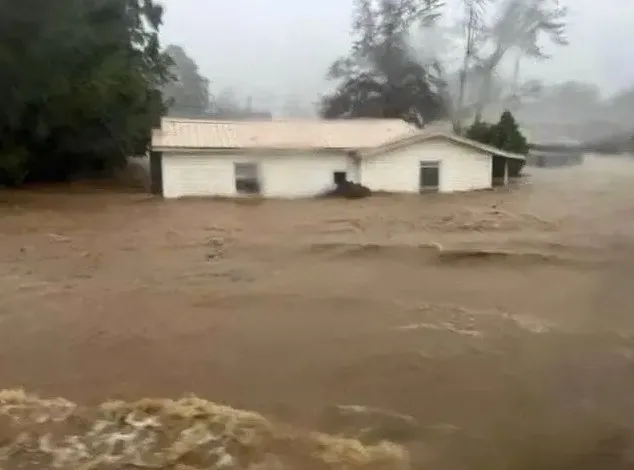 ABD’yi Kasırga Helene vurdu! Felakette korkunç manzara: Ağaçlarda cesetler var