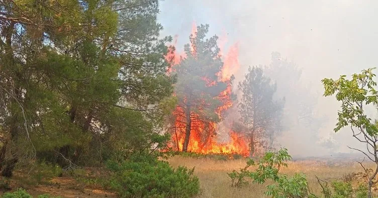 Orman yangınını söndürme çalışmaları sürüyor