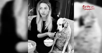 Ünlü şarkıcı Hadise, sevgilisi Kaan Yıldırım’ın köpeği Benek ile film keyfini paylaştı | Video
