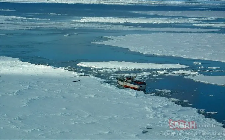 Kuzey Kutbu’ndan kötü haberler geliyor! Rekor sıcaklıklar