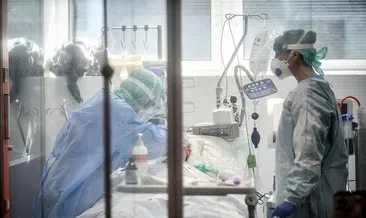 Hastanede kedi krizi