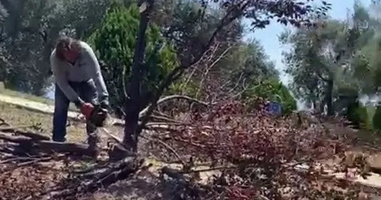 AK Partili Çankırı Bornova’daki ağaç katliamına ateş püskürdü: ’Çevreciyiz’ diye geçinenler izindeler galiba!