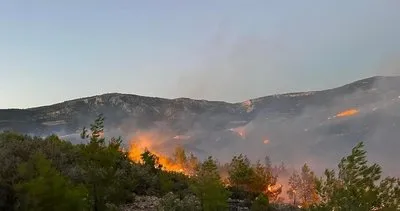 SON DAKİKA: 4 ilde alevlerle mücadele sürüyor! Muğla’daki orman yangınının nedeni ortaya çıktı