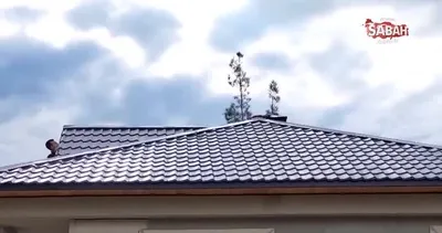 Çamlıyayla’da evden kaçan papağan çatıya çıktı